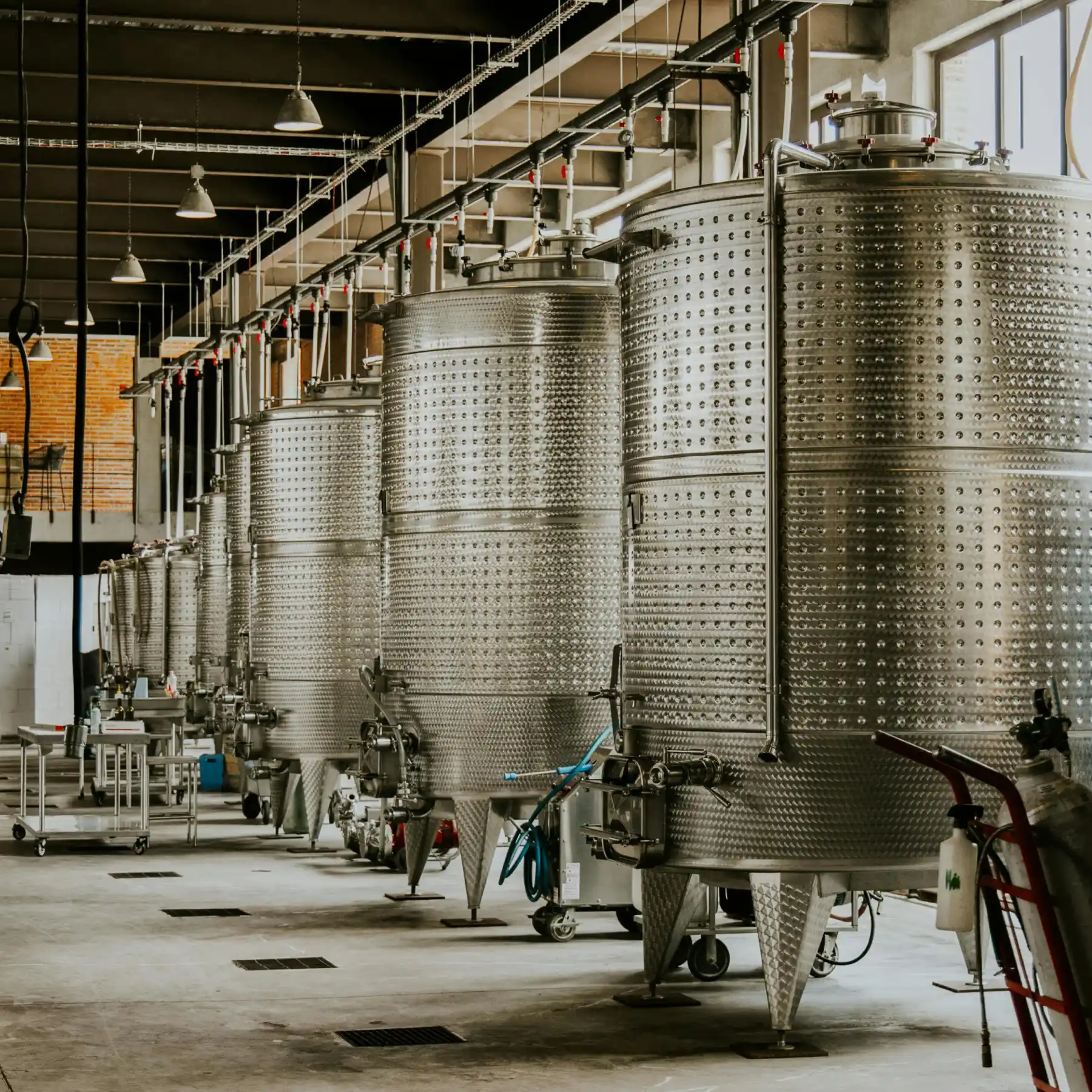 What’s Inside the Brewery