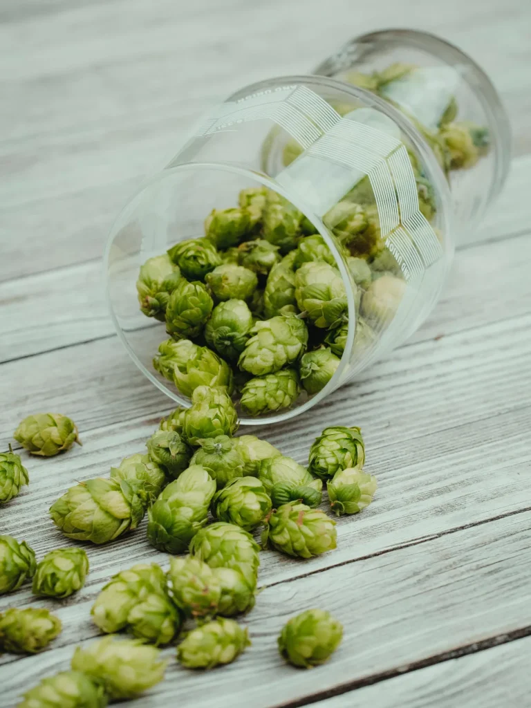 Creative & Innovative Designs